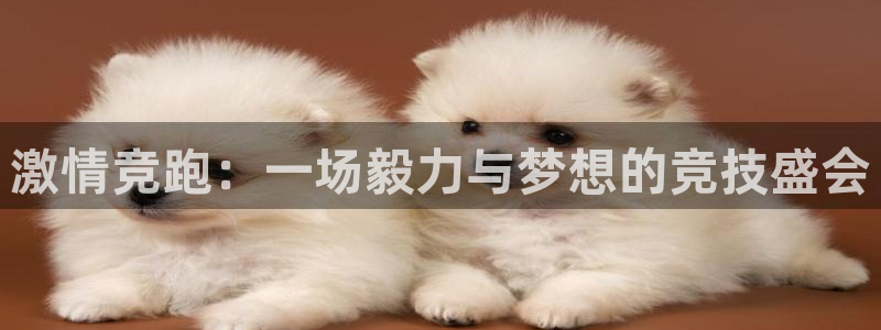 欧亿体育官方平台体育:激情竞跑:一场毅力与梦想的竞技盛会