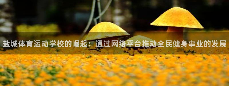 oety欧亿体育官网下载招商电话地址是多少:盐城体育运动学校