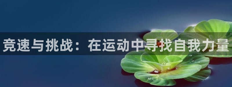 oety欧亿体育官网下载招商电话号码是多少号:竞速与挑战:在